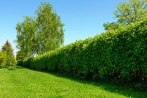 Förutsättningar Förutsättningar