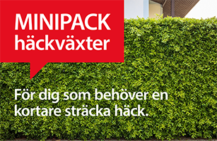 Mini_Hackvaxter_307x200.png